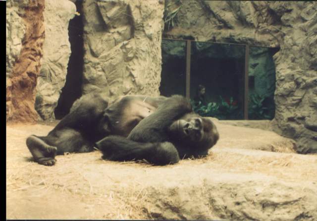 "hey, I'm nappin' here, could you folks keep it down?".