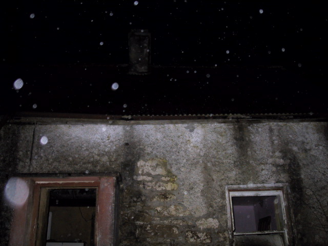 The cottage from the outside.