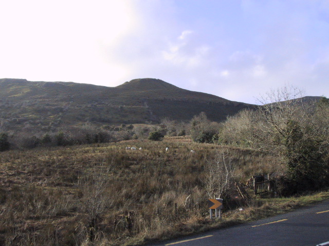The drive from leitrim to sligo.