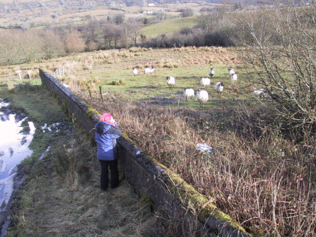 Kathryn took down the grievences of the local sheep.  more shelter, sweeter grass and more of those nummy flowers.