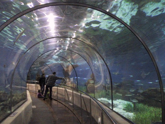 Barcelona aquarium.