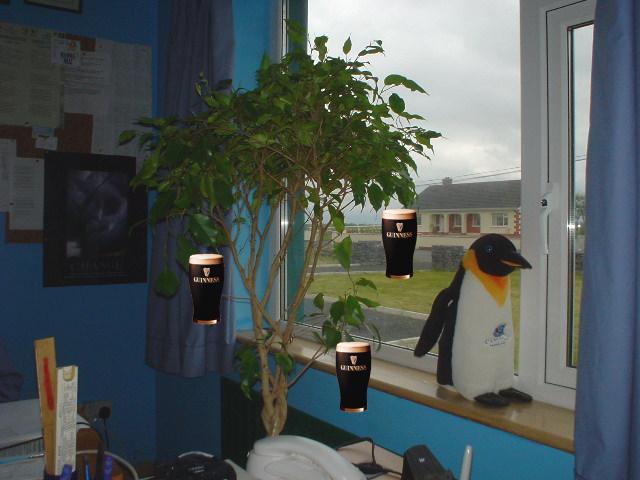 It does grow on trees!